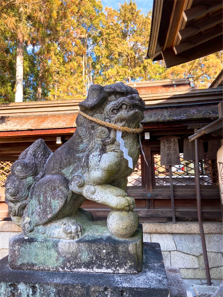 f:id:yukix03:20200111220142j:image