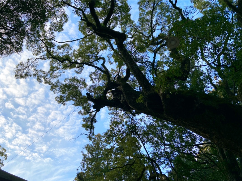 f:id:yukix03:20200123173921j:image