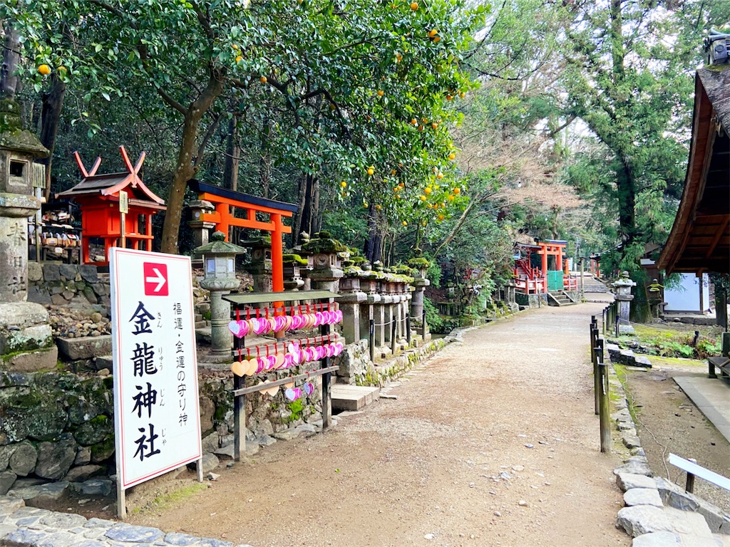 f:id:yukix03:20200123174053j:image