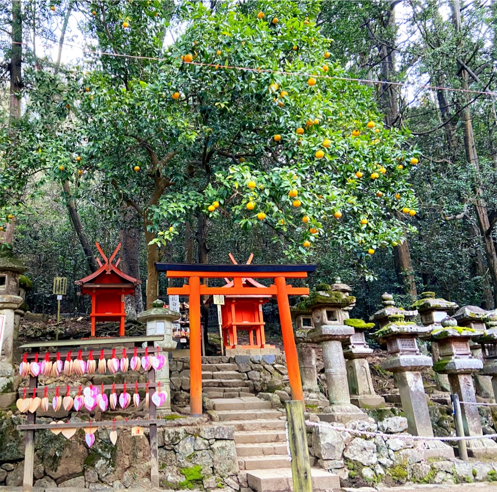 f:id:yukix03:20200123174110j:image