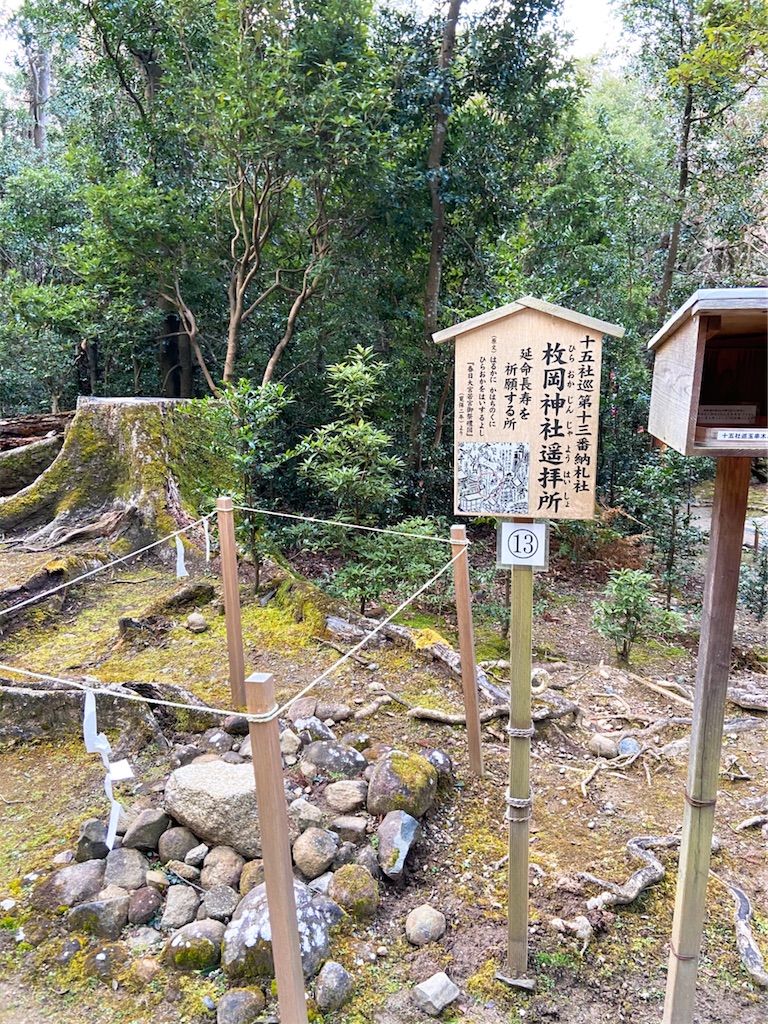 f:id:yukix03:20200123174230j:image