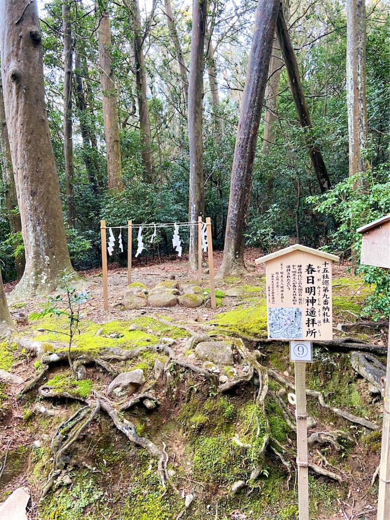 f:id:yukix03:20200123174247j:image