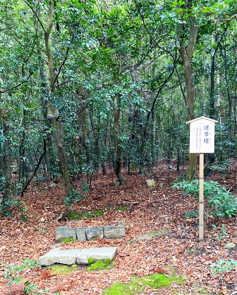 f:id:yukix03:20200123174329j:image