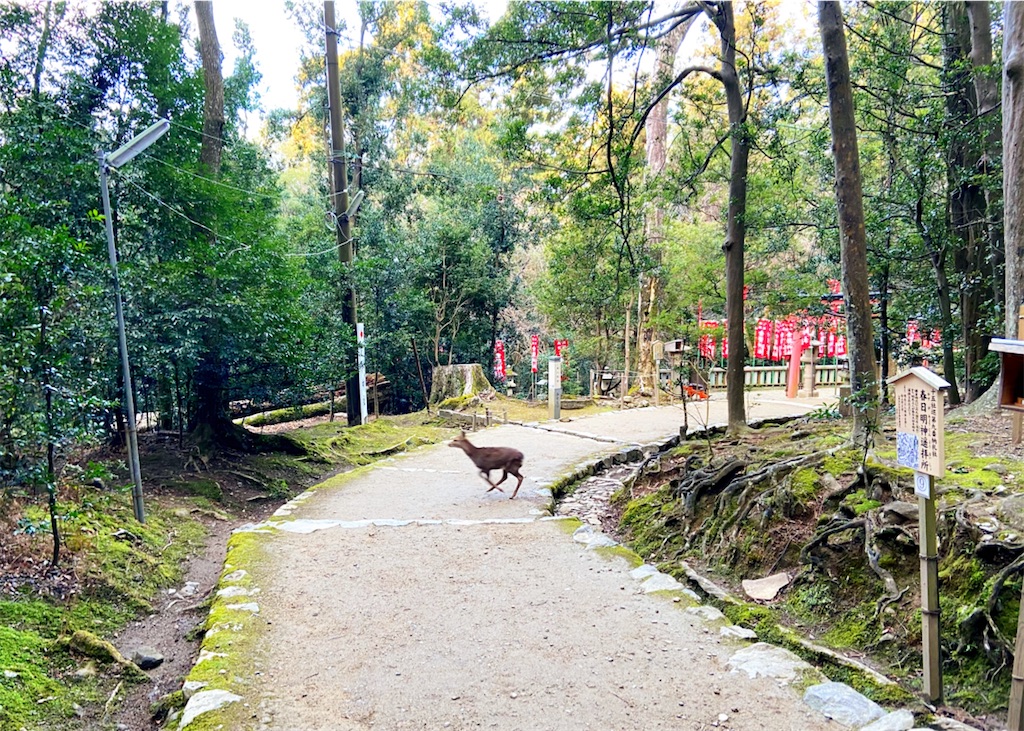 f:id:yukix03:20200123174514j:image