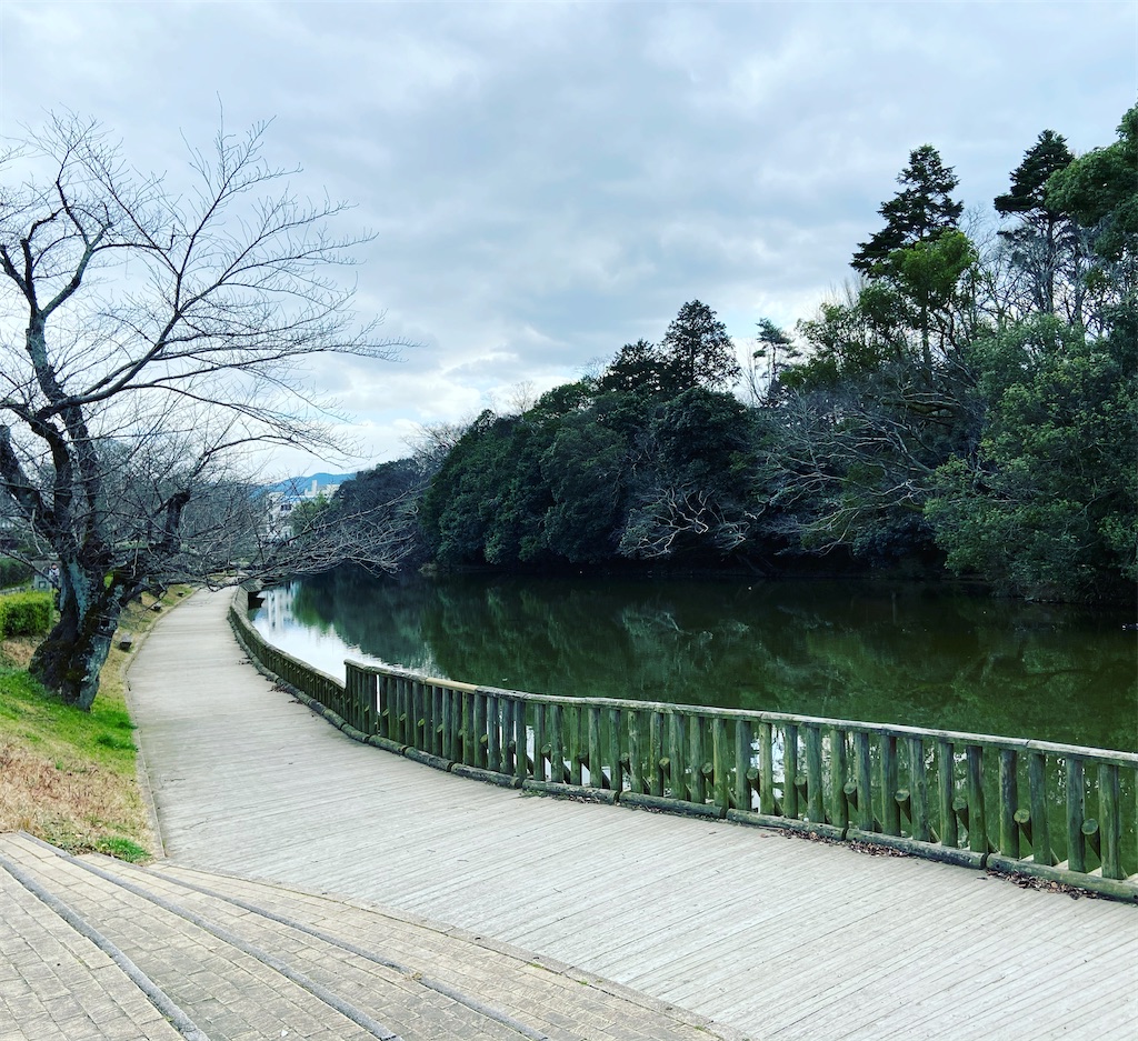 f:id:yukix03:20200203173313j:image