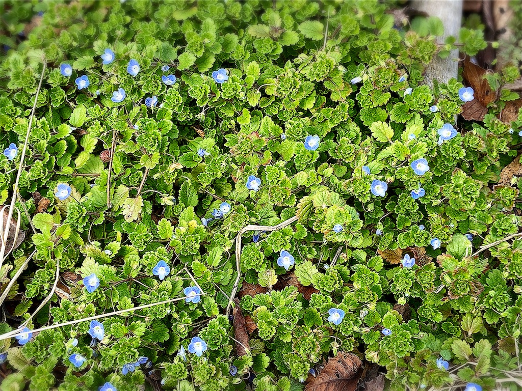 f:id:yukix03:20200203173437j:image