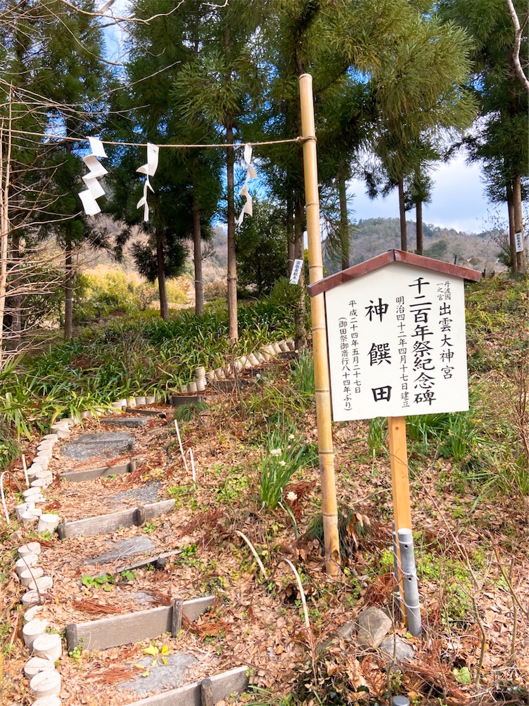 f:id:yukix03:20200203173453j:image