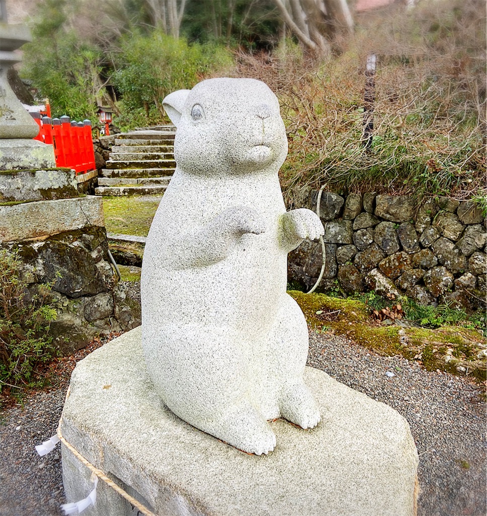 f:id:yukix03:20200203173544j:image