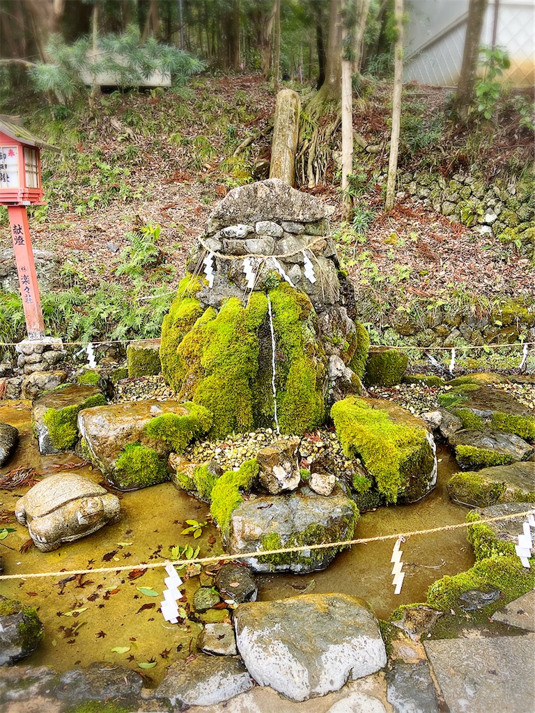 f:id:yukix03:20200203173923j:image