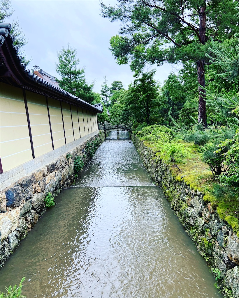 f:id:yukix03:20200619233148j:image