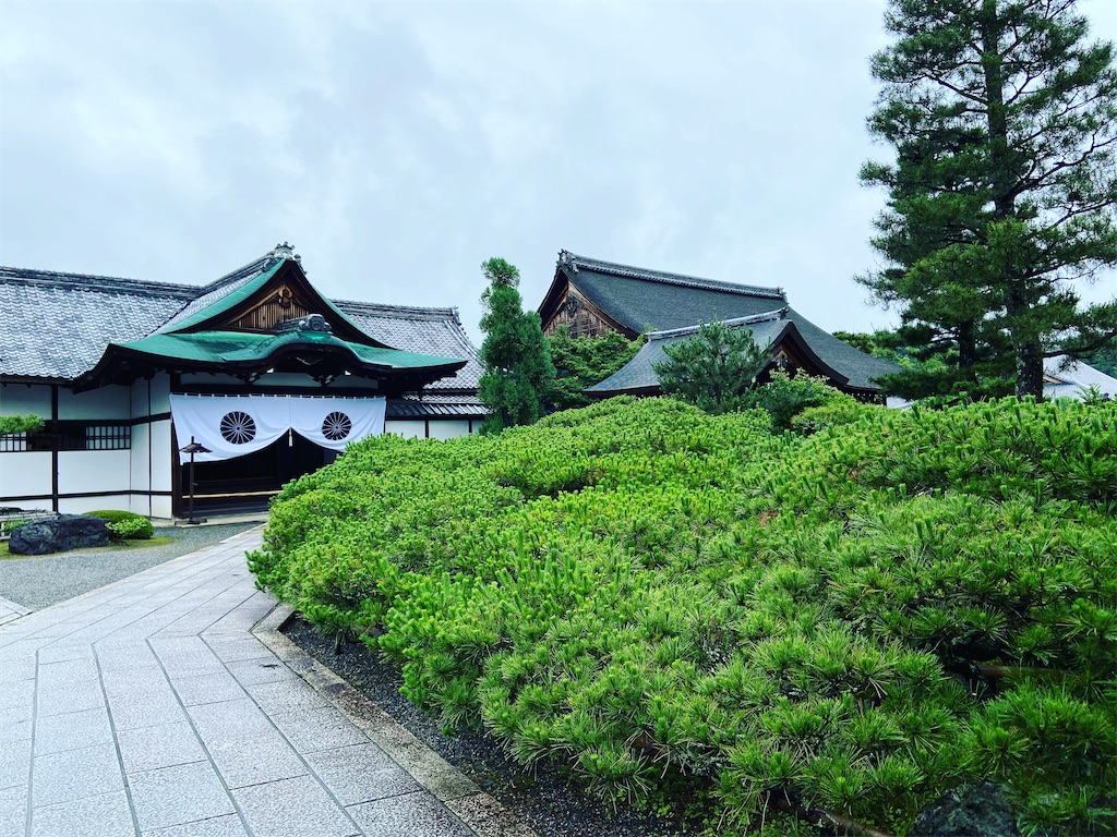 f:id:yukix03:20200619233239j:image