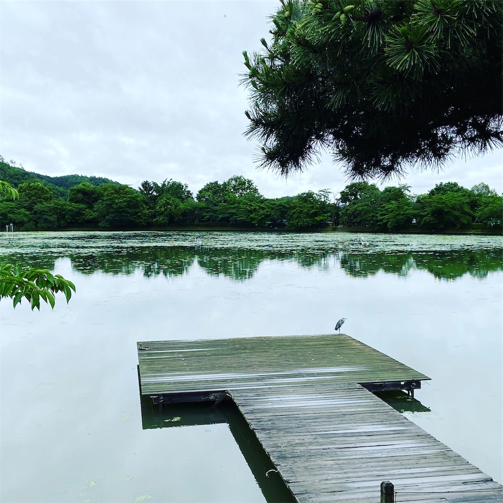 f:id:yukix03:20200619234046j:image