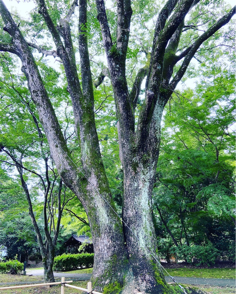 f:id:yukix03:20200728153747j:image f:id:yukix03:20200728153747j:image