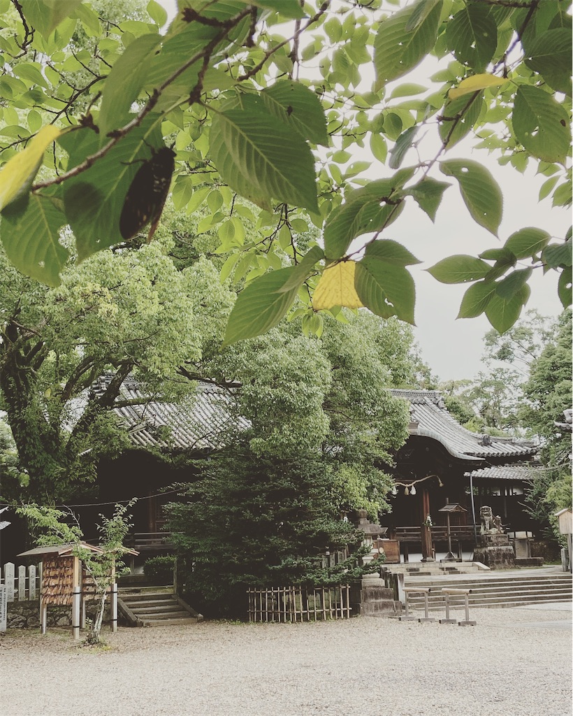 f:id:yukix03:20200728153824j:image f:id:yukix03:20200728153824j:image