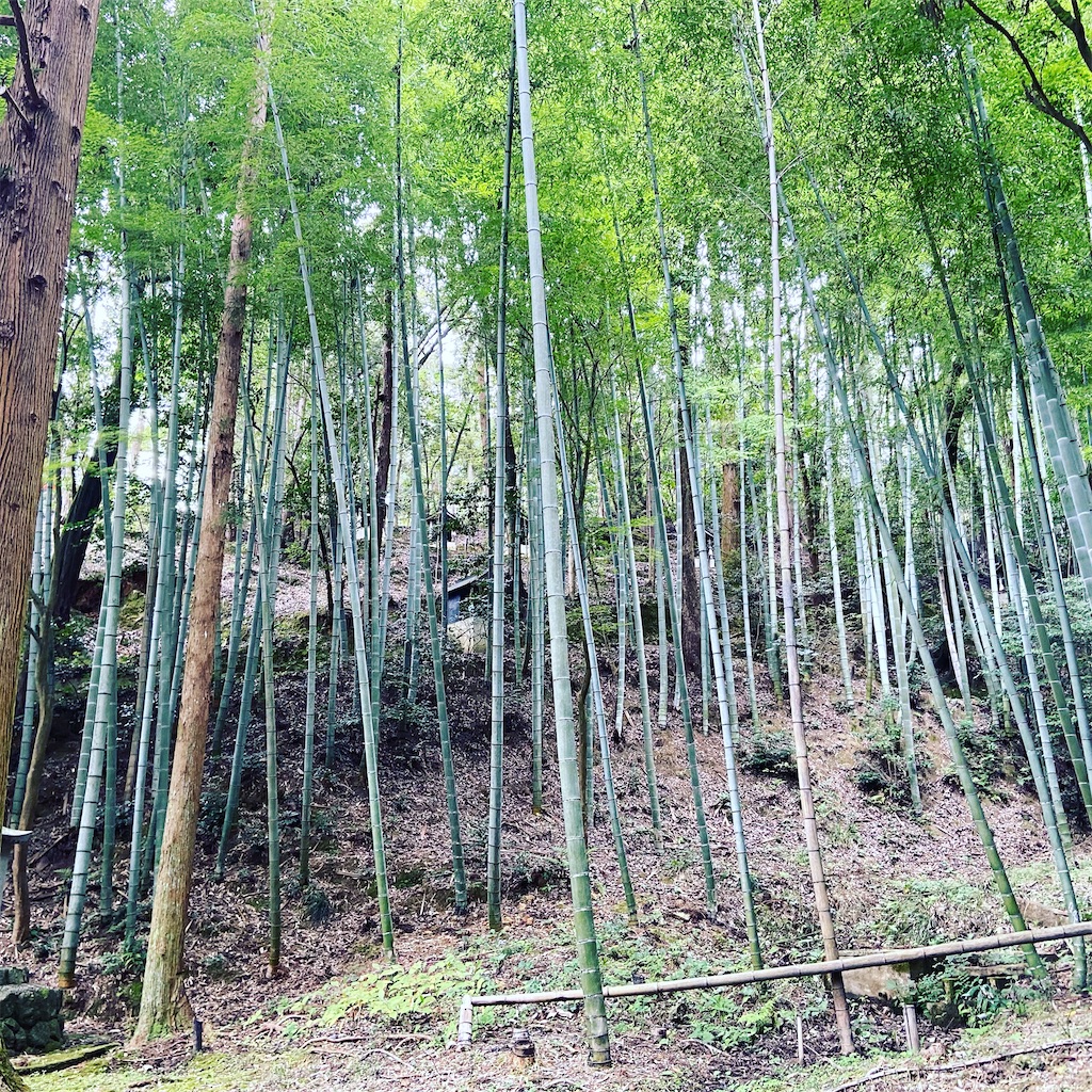 f:id:yukix03:20201004203645j:image