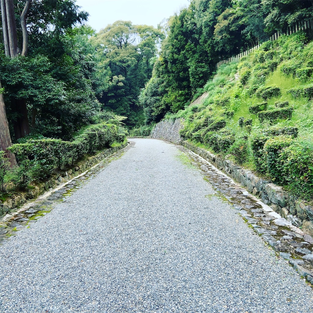 f:id:yukix03:20201004203722j:image