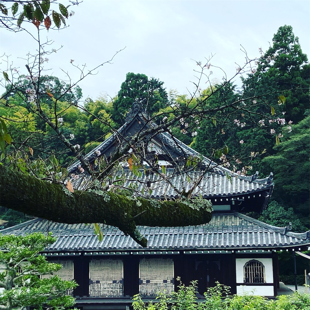 f:id:yukix03:20201004203815j:image