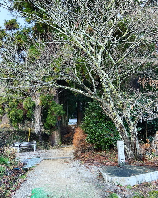 f:id:yukix03:20201226013944j:plain