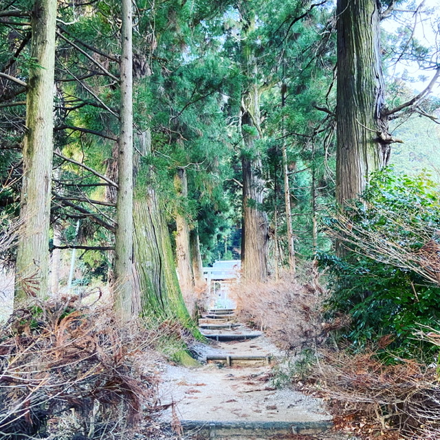 f:id:yukix03:20201226014003j:plain