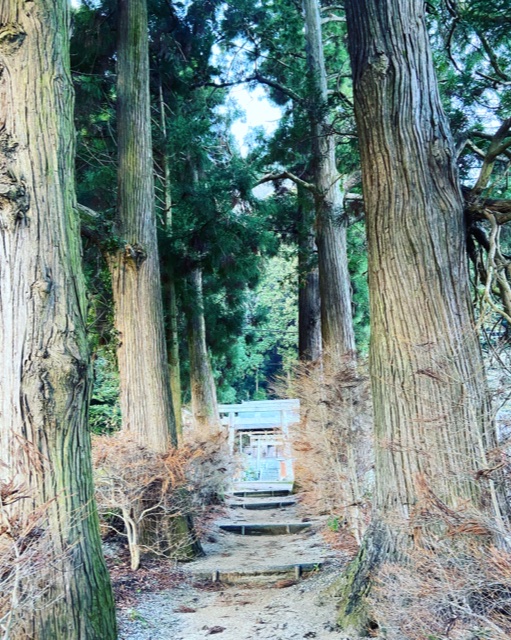 f:id:yukix03:20201226014033j:plain