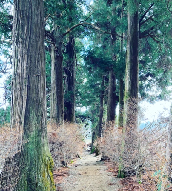 f:id:yukix03:20201226014514j:plain