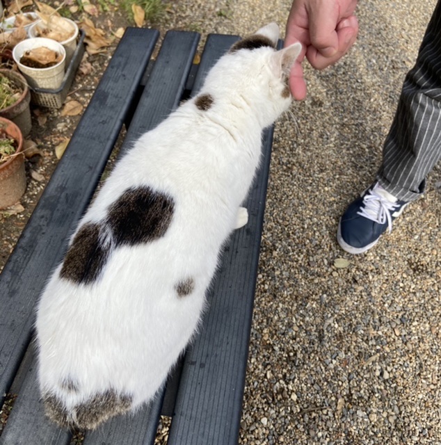 f:id:yukix03:20210104201244j:plain