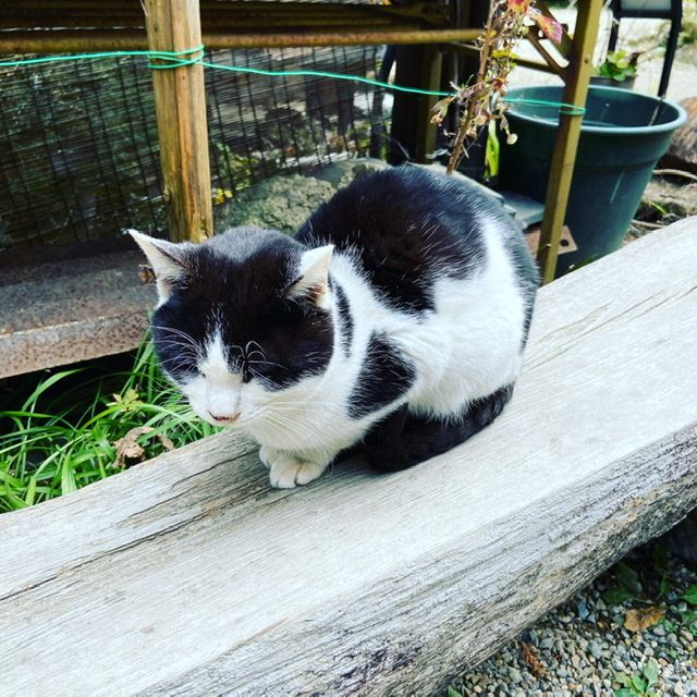 f:id:yukix03:20210104201411j:plain