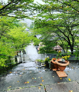 f:id:yukix03:20210820231335j:plain