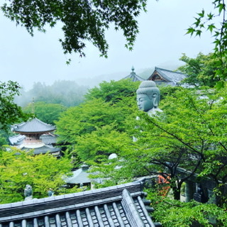 f:id:yukix03:20210820232149j:plain