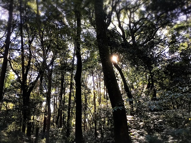 f:id:yukix03:20211204202934j:plain