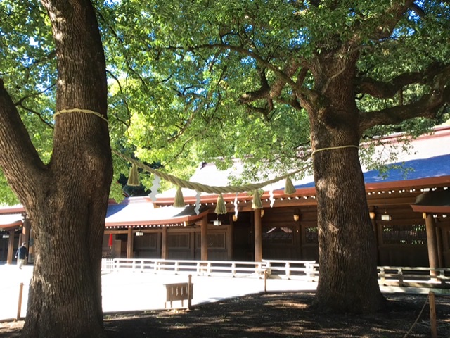 f:id:yukix03:20211204203305j:plain