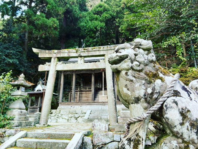 f:id:yukix03:20211226235031j:plain