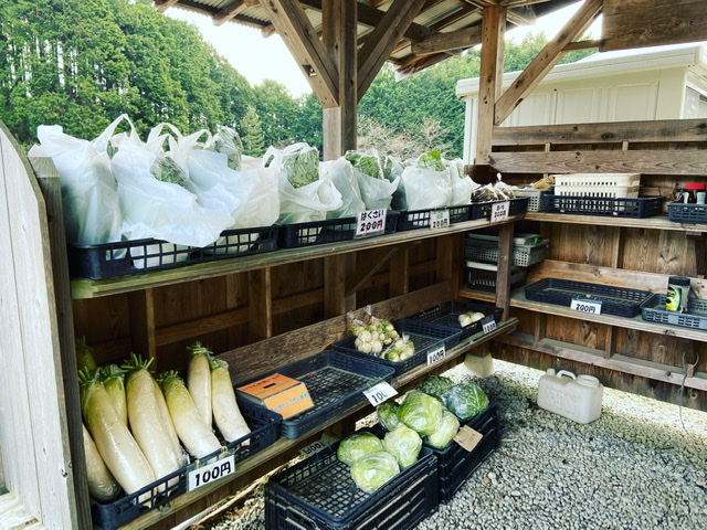 f:id:yukix03:20211226235044j:plain