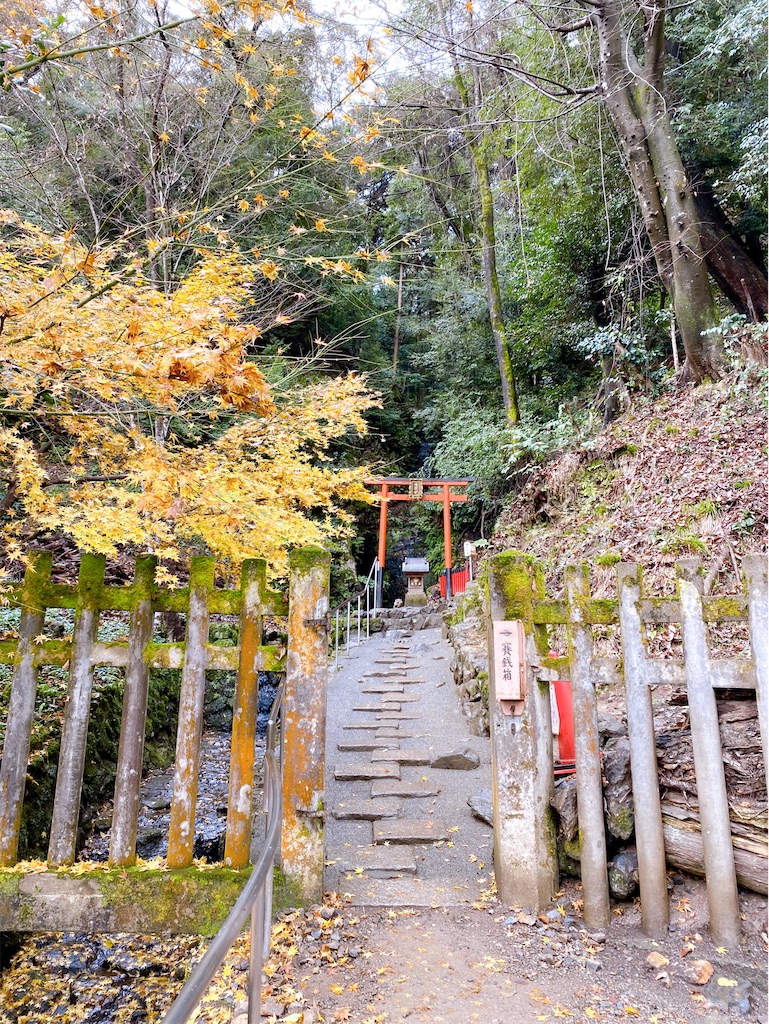 f:id:yukix03:20231216182833j:image