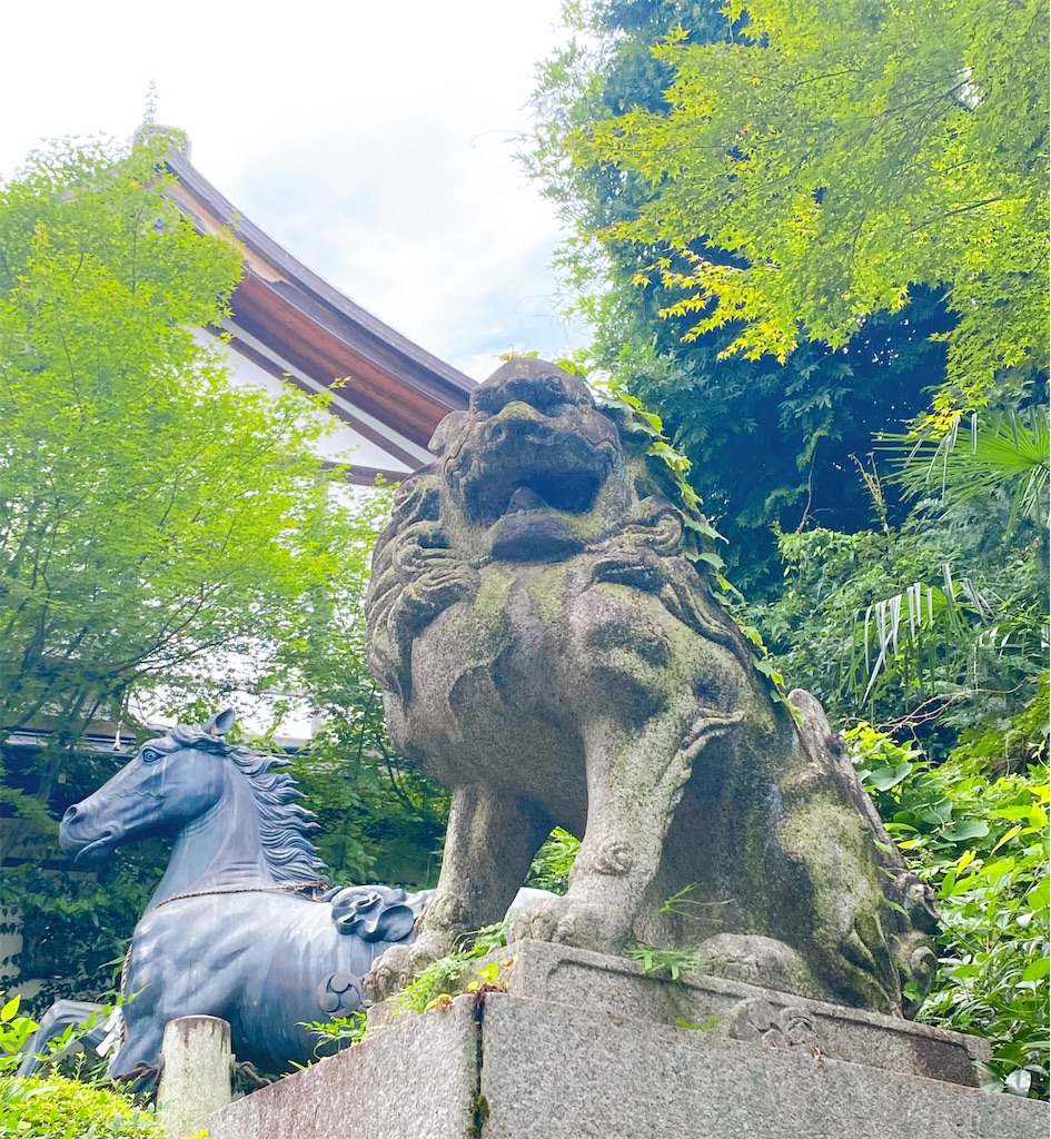 f:id:yukix03:20240727210659j:image