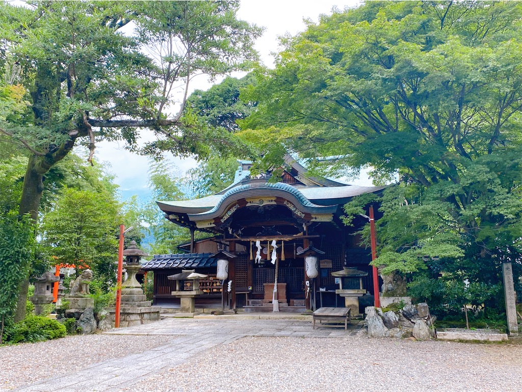 f:id:yukix03:20240727210858j:image