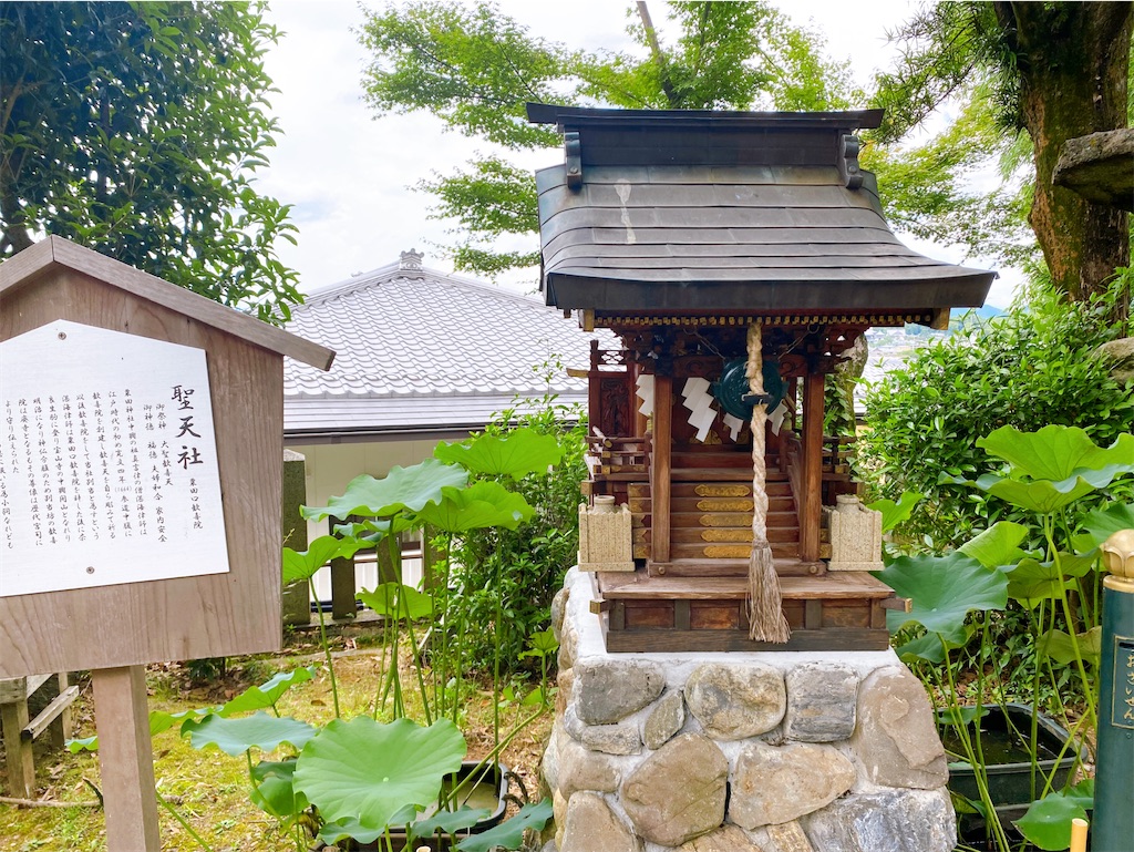 f:id:yukix03:20240727211017j:image