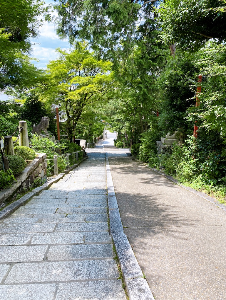 f:id:yukix03:20240727211510j:image