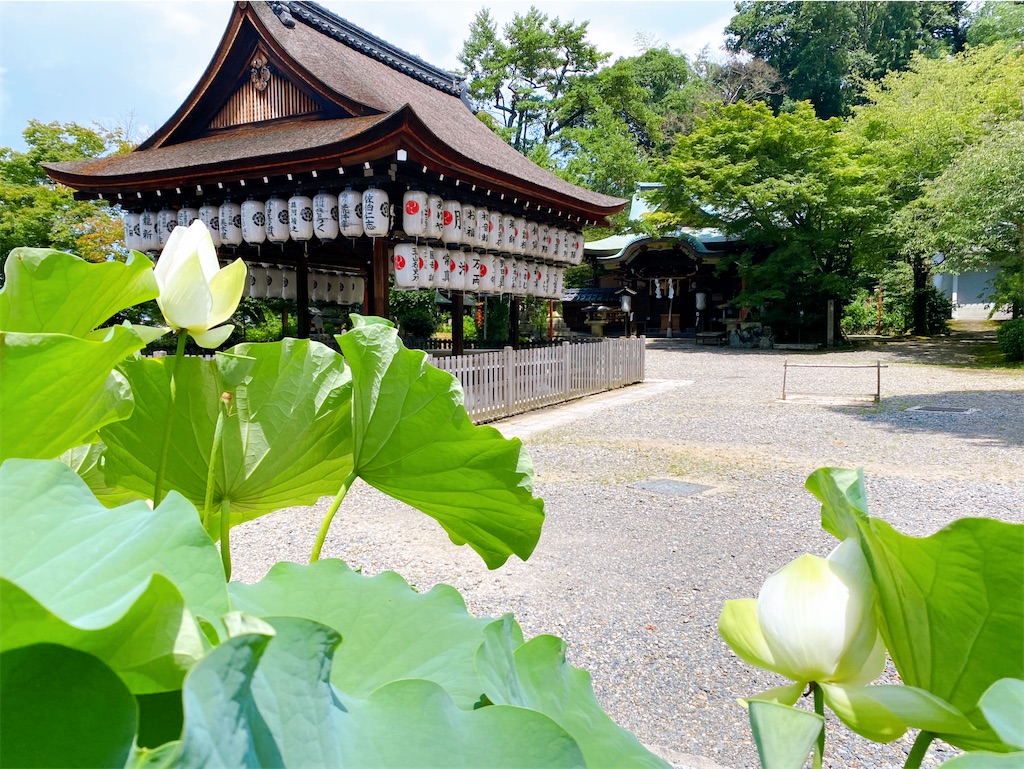 f:id:yukix03:20240727211708j:image