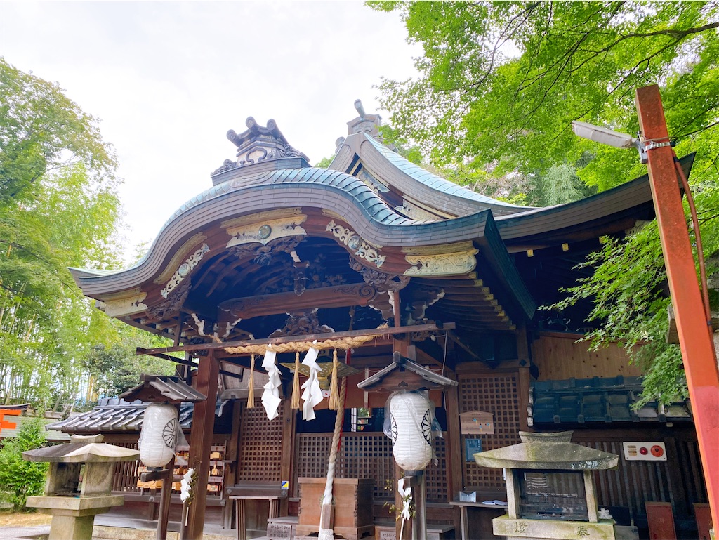 f:id:yukix03:20240727211742j:image