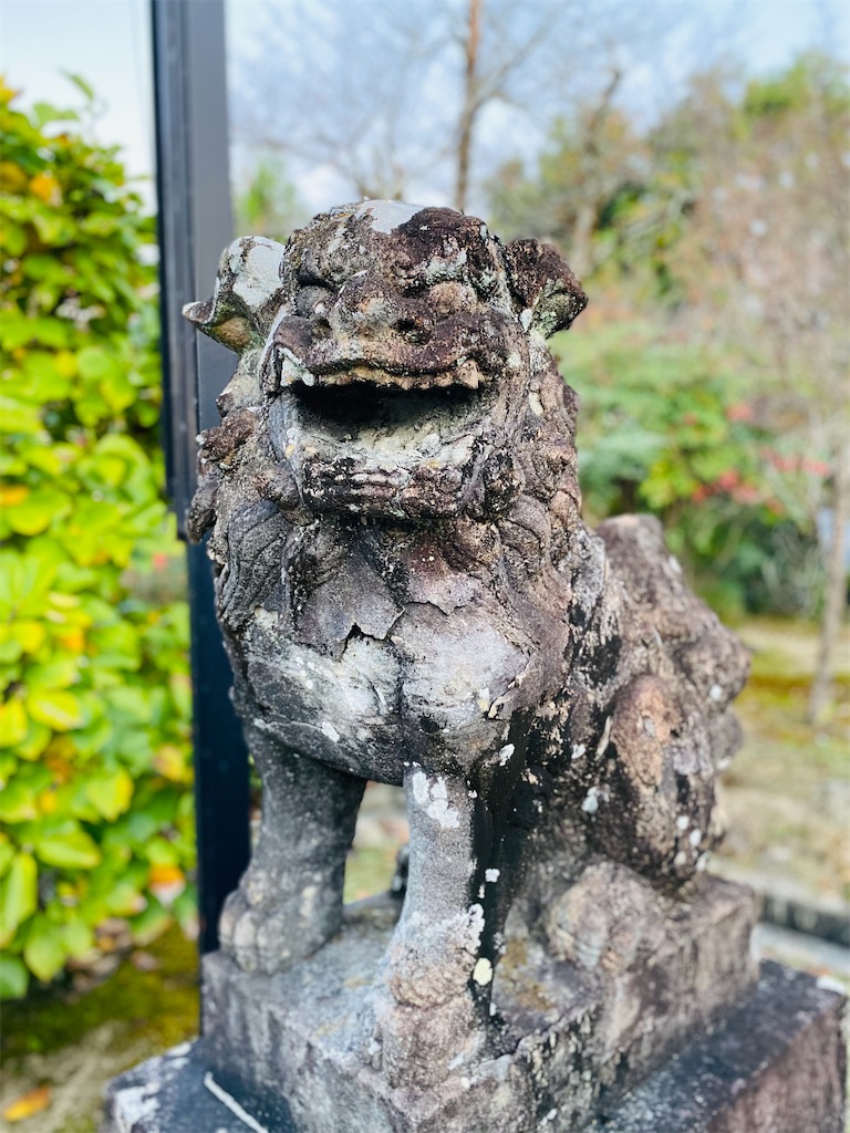 f:id:yukix03:20241123202558j:image