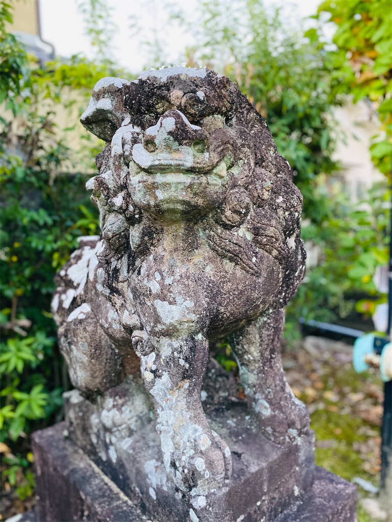 f:id:yukix03:20241123202601j:image