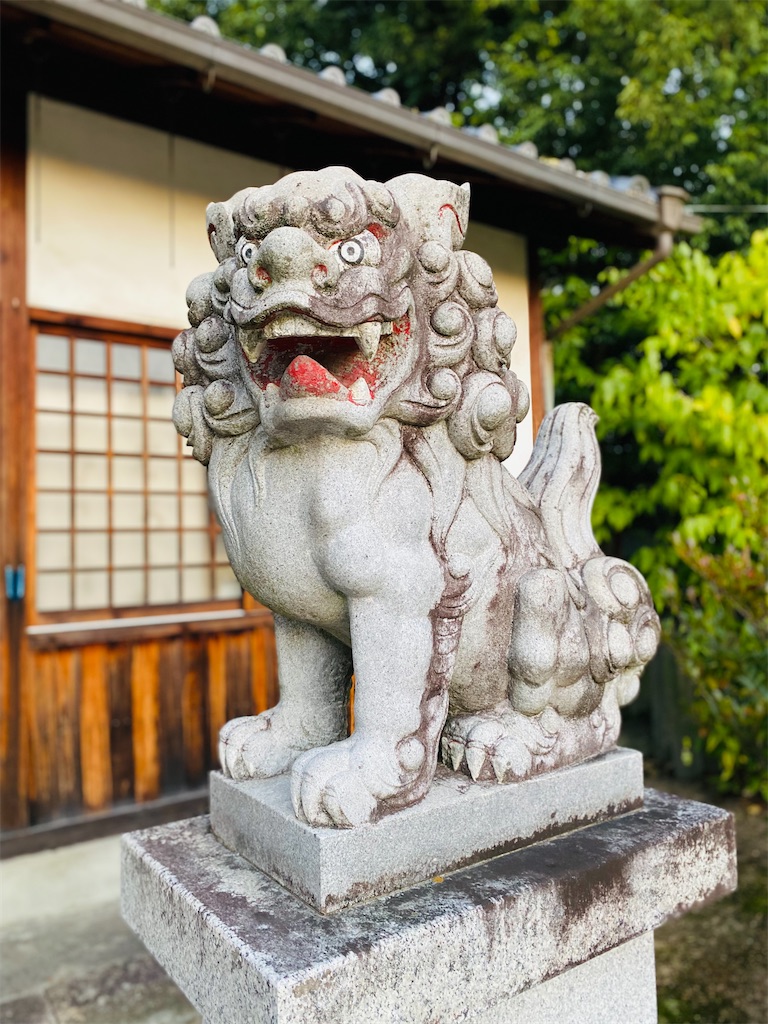 f:id:yukix03:20241123202751j:image