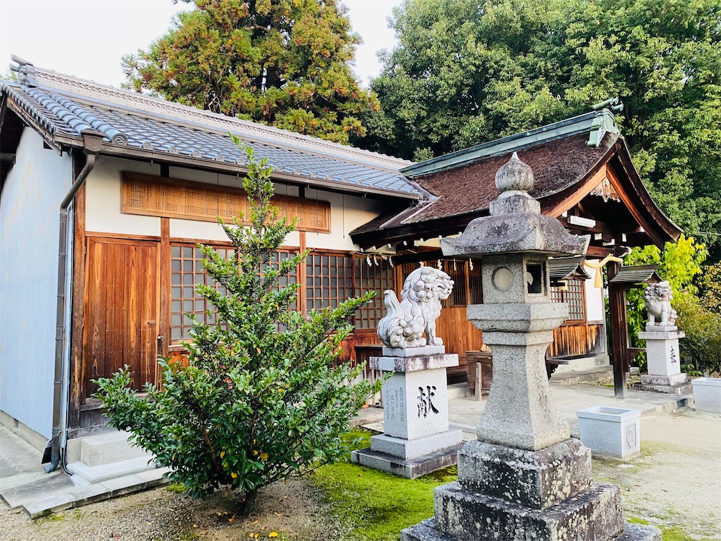 f:id:yukix03:20241123202814j:image