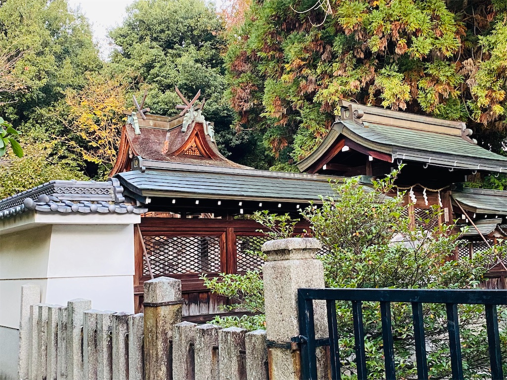 f:id:yukix03:20241123202830j:image