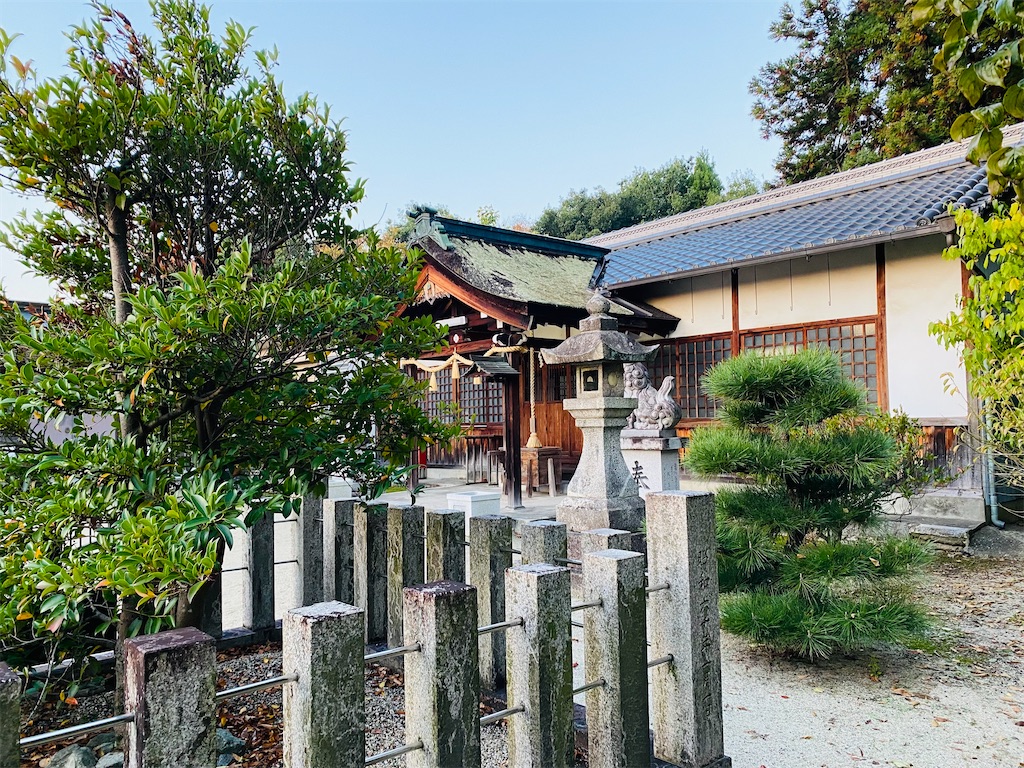 f:id:yukix03:20241123202858j:image