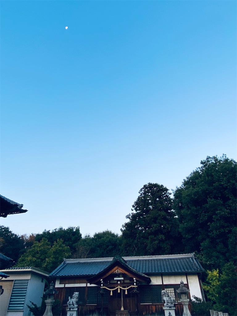 f:id:yukix03:20241123202929j:image