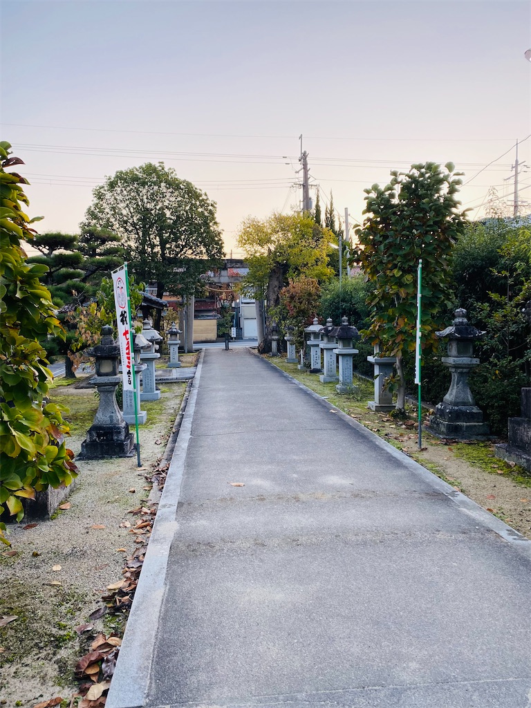 f:id:yukix03:20241123202951j:image