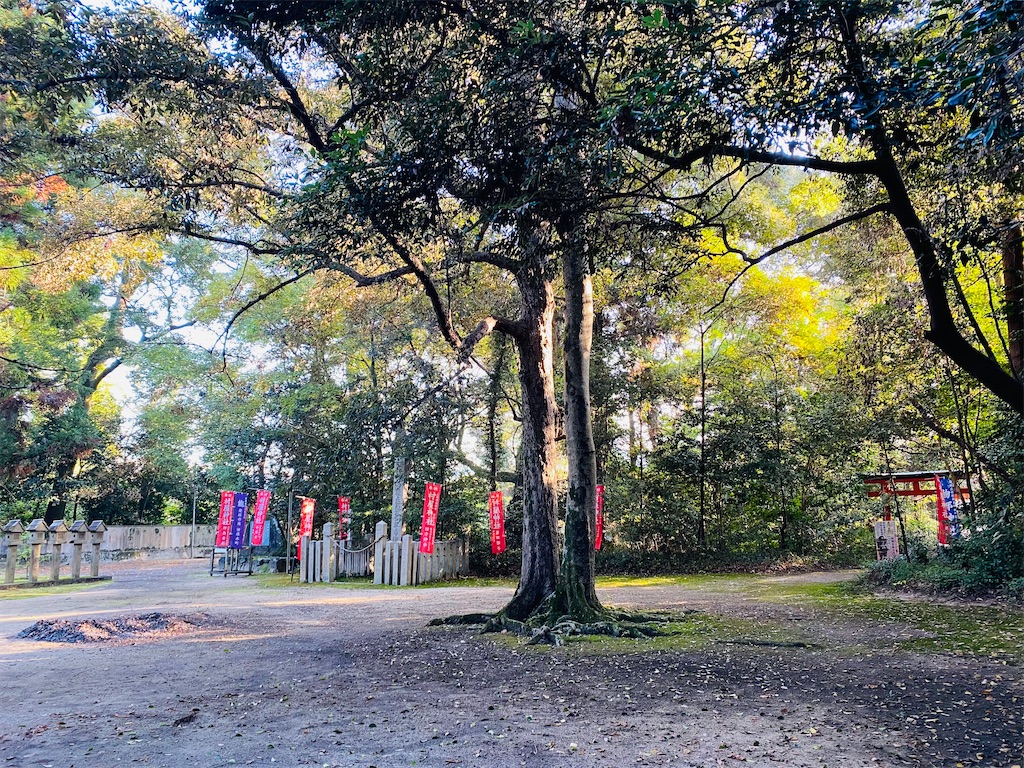 f:id:yukix03:20241124154424j:image