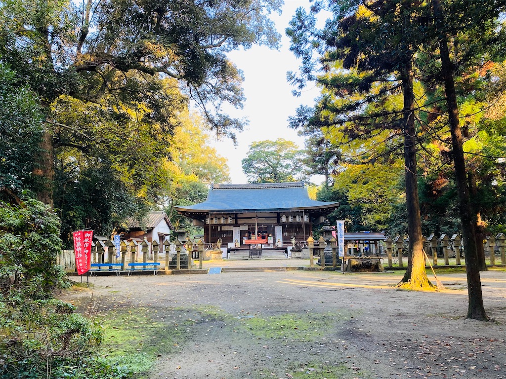 f:id:yukix03:20241124154446j:image